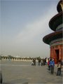 Beijing  (335)